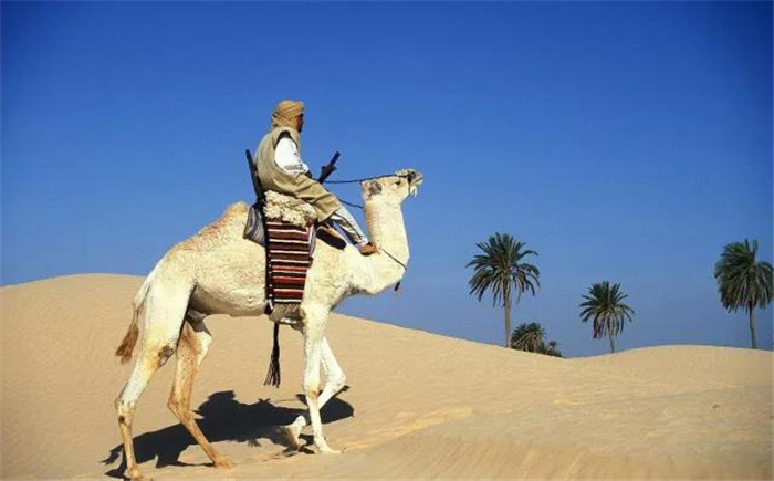 星球大战魅影危机最后胜利,星球大战第一部魅影危机