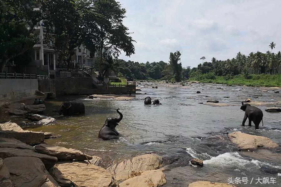 开学“B计划”之，印象斯里兰卡（一）！