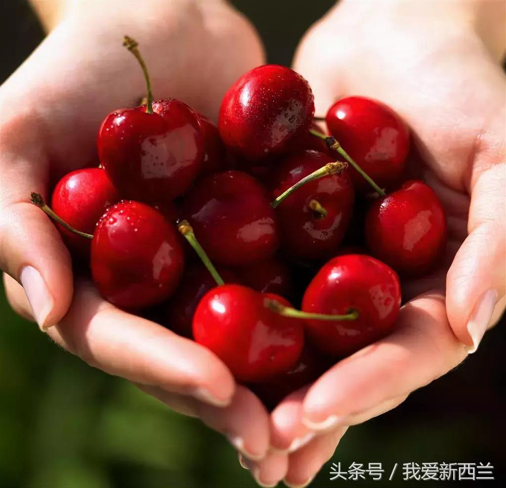 来新西兰以后才发现的变化,新西兰是不是最美丽的地方