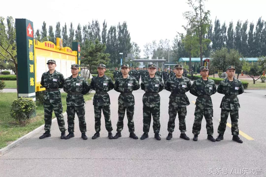 从象牙塔走出来的创业思考,从象牙塔到部队