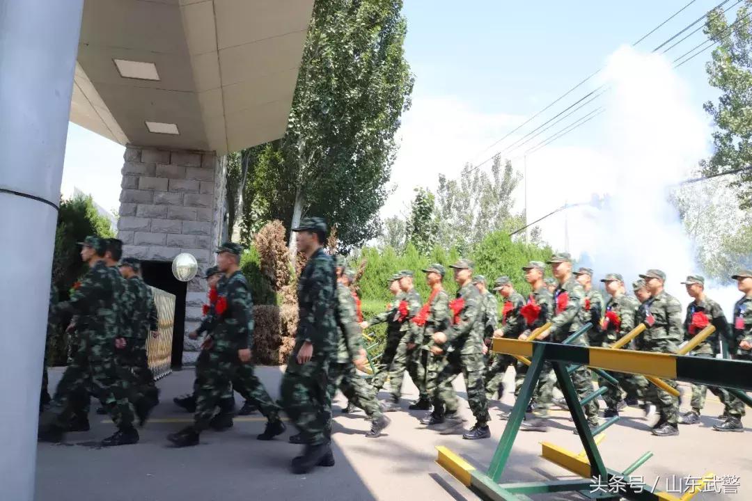 从象牙塔走出来的创业思考,从象牙塔到部队