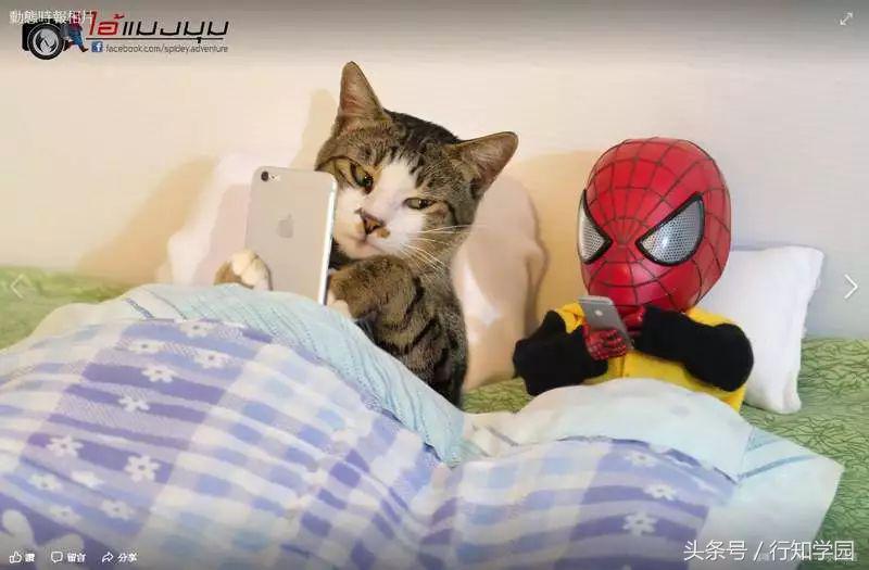 漫威蜘蛛侠遇到的强大敌人,这才是漫威的正确打开方式