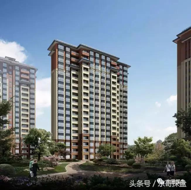 最后一栋瞰湖小高层,瞰湖小高层