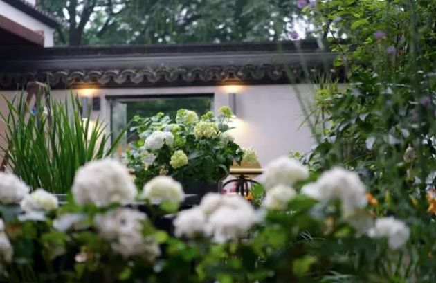 杭州浙大玉泉校区能做饭的民宿,杭州绝美的10间民宿