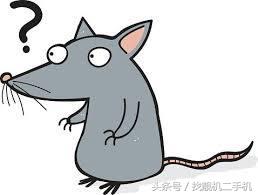 自制老鼠贴强力粘鼠板,国外粘鼠强力胶粘人挑战