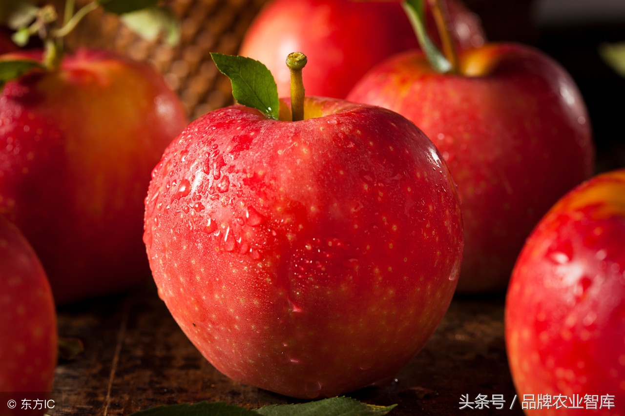 明年大宗农产品市场前景,大宗农产品的发展状况