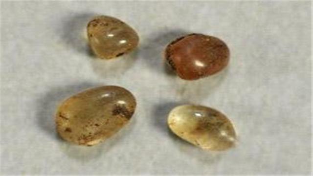 高僧圆寂后为何会出现舍利子,高僧圆寂后为何会有舍利子出现