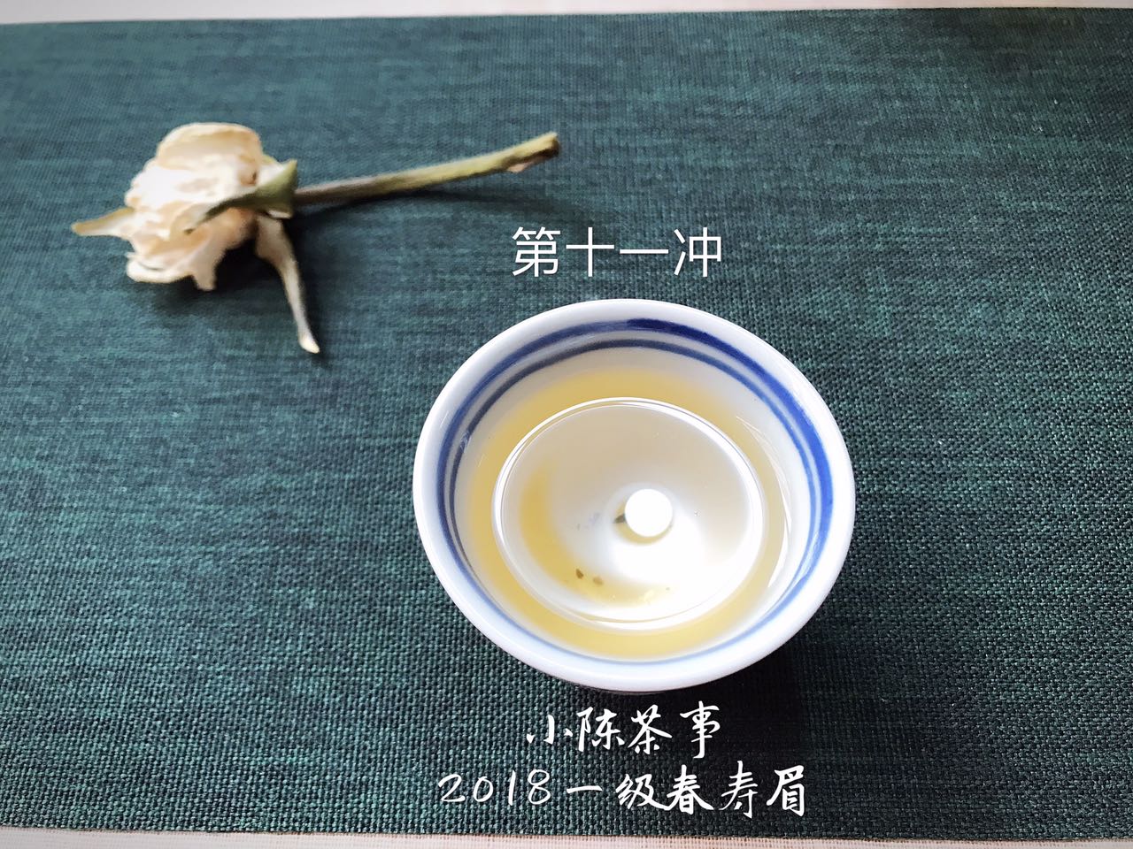 什么是白茶这三点你真的弄懂了吗,什么是白茶的品质特点