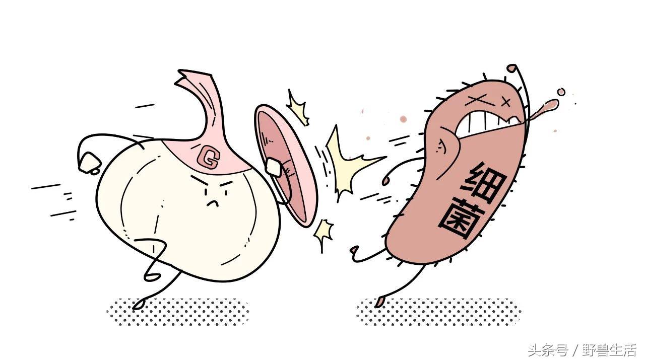 大蒜片一天吃多少最好,大蒜的保健吃法和注意点