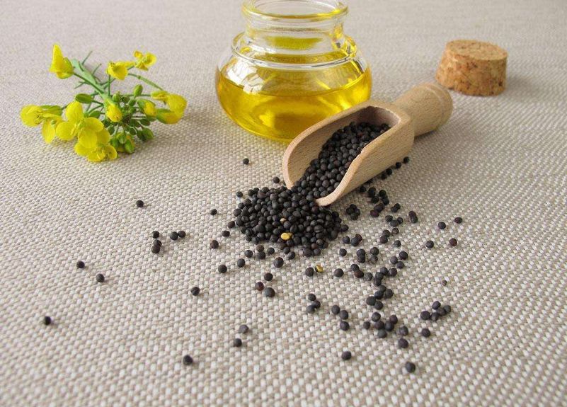 祁连山下的小城旅游攻略,祁连山下的最美小城