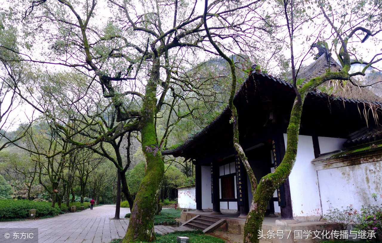 中华新韵是指十八韵还是十四韵,中华十八韵完整版