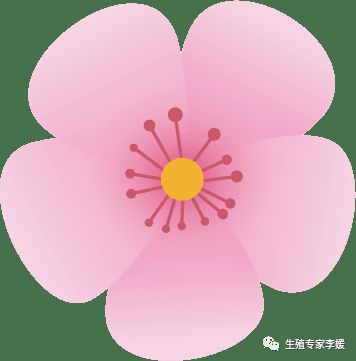 子宫畸形怀孕的可能性排序,为什么医生觉得畸形子宫难怀孕