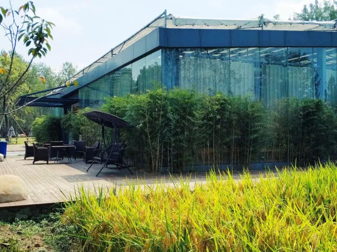 只有120亩的庄园，依靠营地教育，每年游客超十万，在股交所挂牌