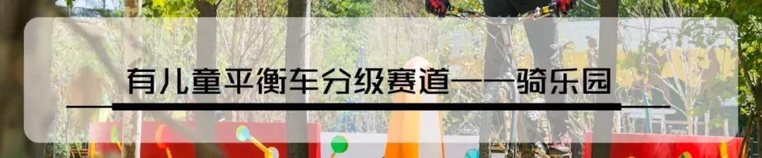 郑州足球小镇2019,郑州足球小镇有真草足球场吗