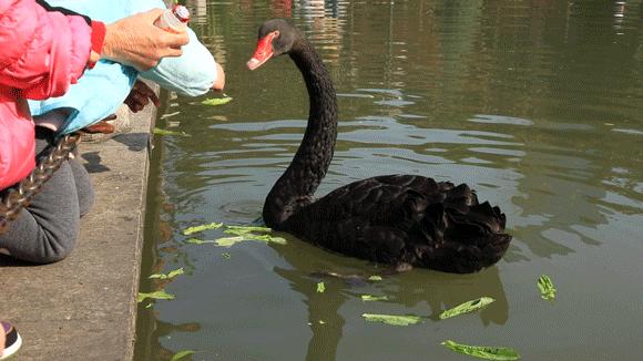 上海徐家汇有必要逛吗,上海人逛的商圈