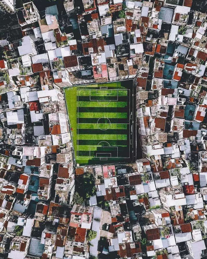 什么是中国传统文化,什么是中国文化