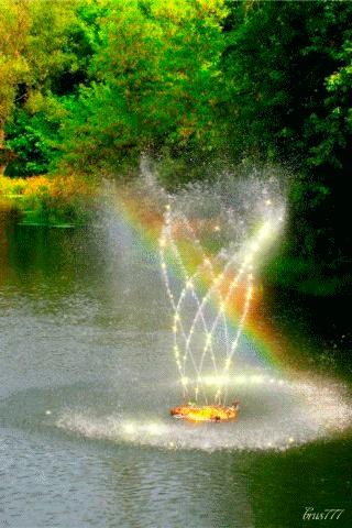 会动的美丽的图片,会动的照片绝美