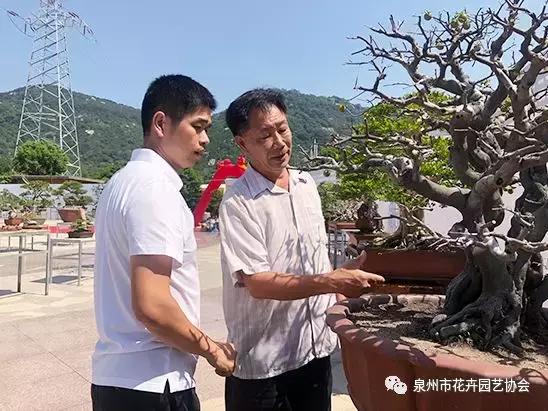 喜迎国庆展风采,迎国庆鲜花展美图