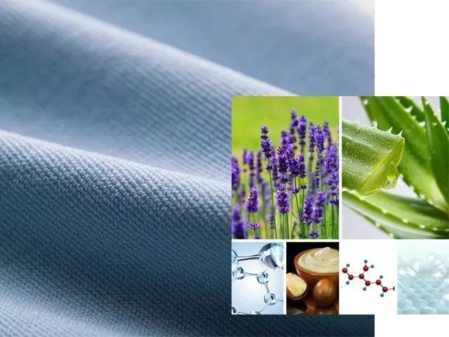 一条拼团｜塑形打*裤底**，超柔软的法兰绒毯