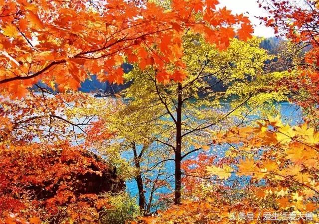 这个假期很美,这个假期的好去处