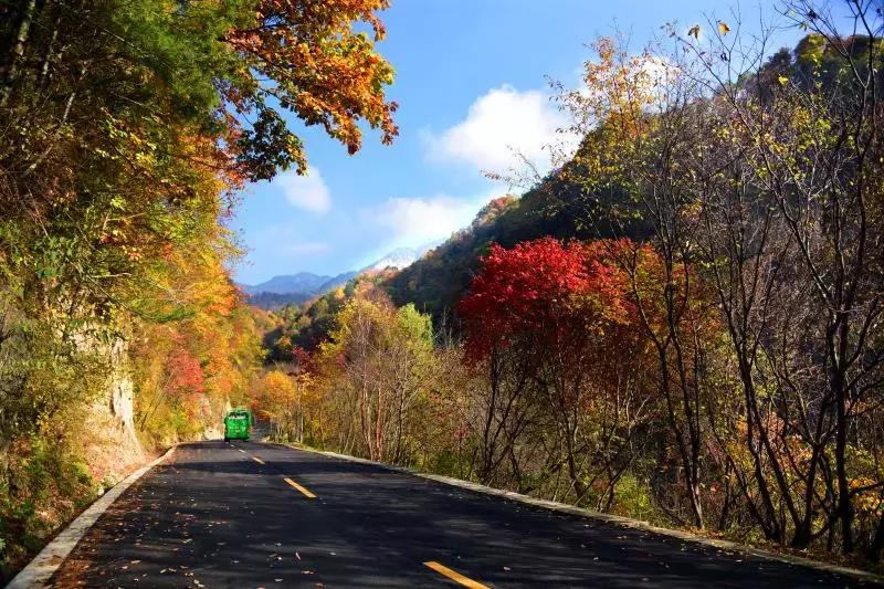 西安出发秦岭最美秋景自驾环线游,西安出发一小时深藏秦岭山水秘境