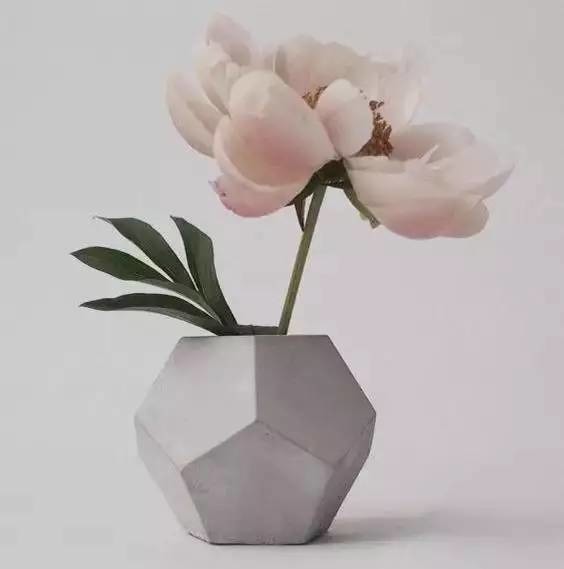 0基础插花自学教程大全,插花零基础能学会不