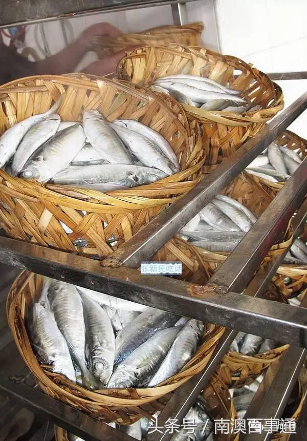 潮汕说的熟鱼和巴浪鱼有什么区别,巴浪鱼只有闽南粤东才有吗