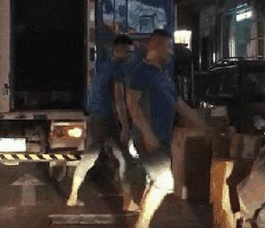 姑娘喝酒动图gif搞笑,醉酒图片gif