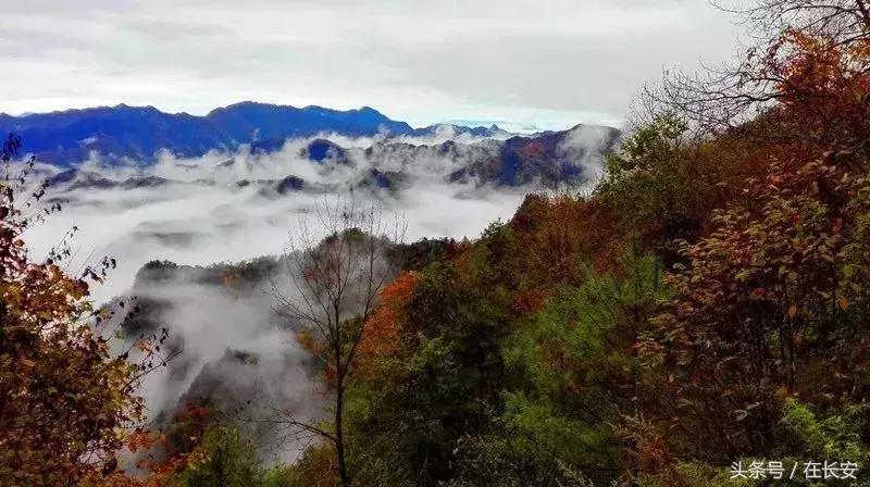 西安秦岭自驾一日游免费景点,西安出发一小时深藏秦岭山水秘境