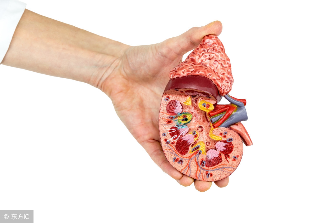 不同类型的肾结石,不同类型的肾结石怎么去治疗呢