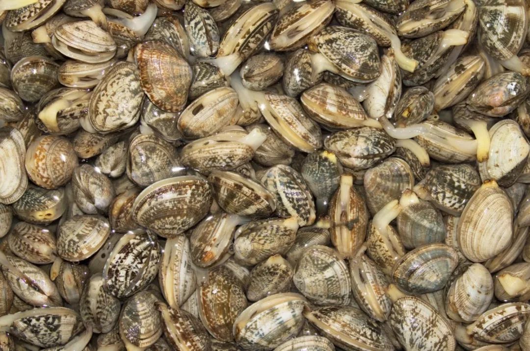 被海鲜扎手了要怎么处理,被煮熟的海鲜扎手有危险吗