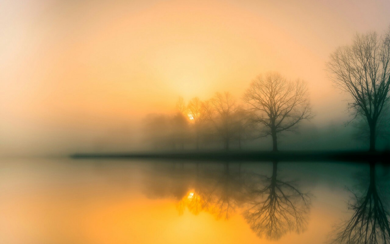 十二生肖出生月份都是什么星座,十二生肖出生的月份婚配表