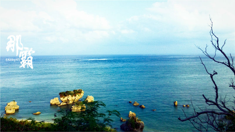 神奇了，在日本那霸这个有名的店你去买鸡蛋，却逛了个真动物园