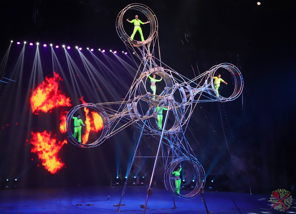 广州长隆4大乐园几天可以耍完,广州长隆野生动物世界国庆门票