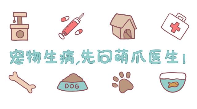 除了洋葱还有什么,除了洋葱还有什么可以除味