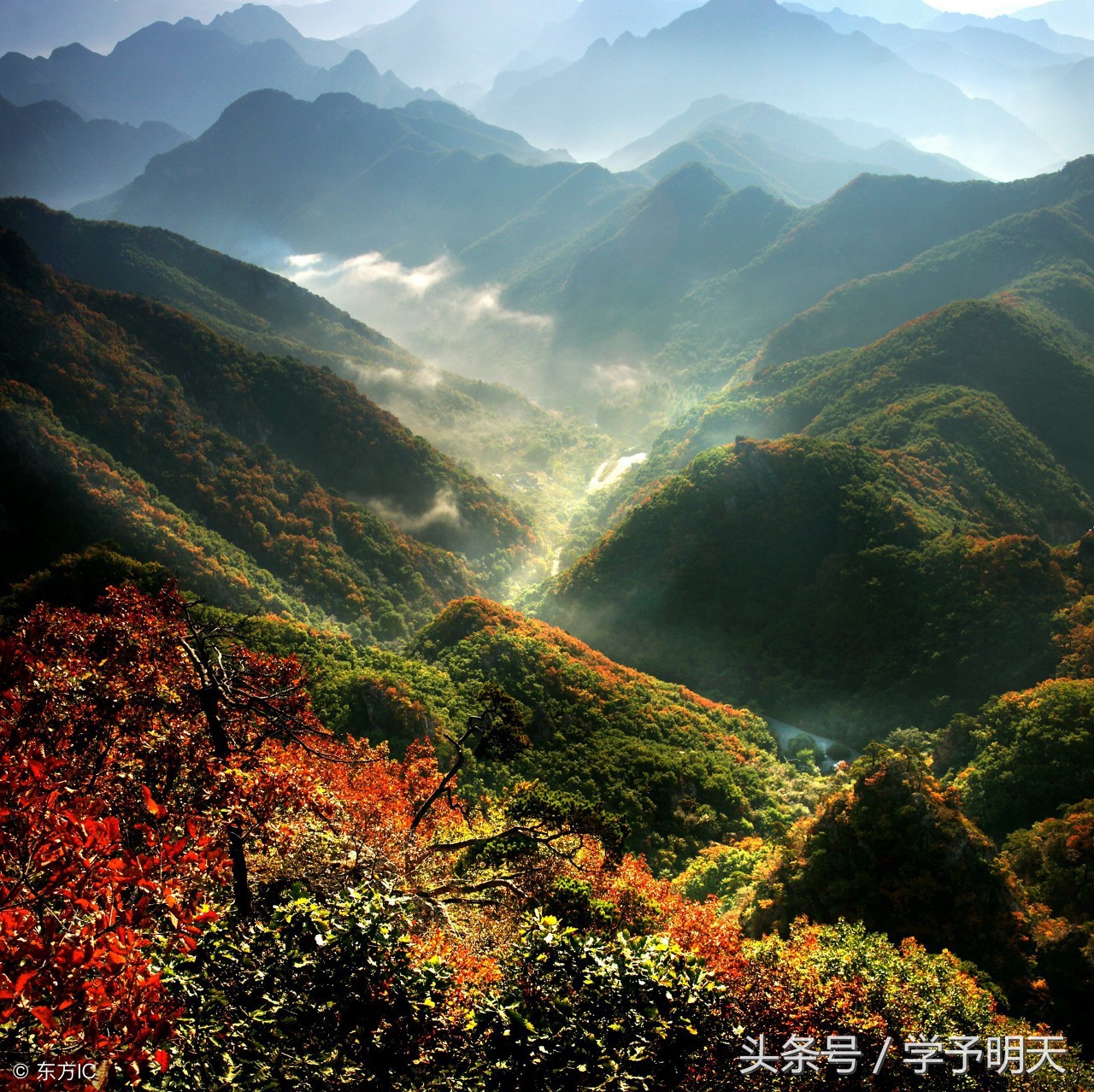 古诗望天门山和饮湖上初晴后雨,小学生古诗词讲解望天门山