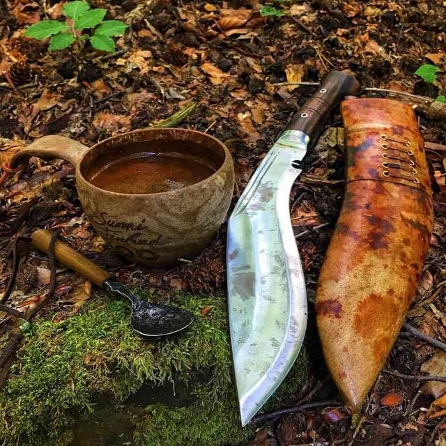 如果在丛林遭到猛虎袭击，给你5把*刀军**，你选哪个？