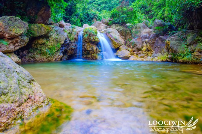 第一次采摘火龙果的体验,高明采摘火龙果