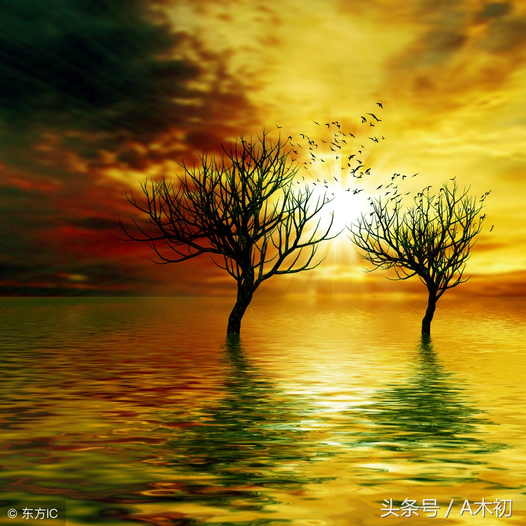 蒙学读物哪本好,第一部蒙学读物