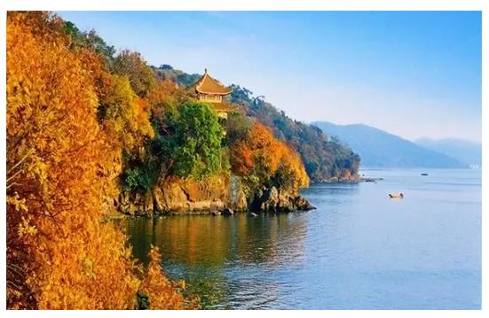 上海2小时高铁旅游线路,魔都沿途风景随拍