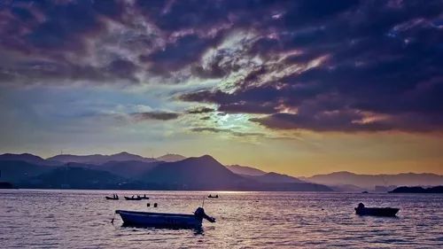 高铁郑州到香港西九龙如何过关,郑州直达香港西九龙高铁站