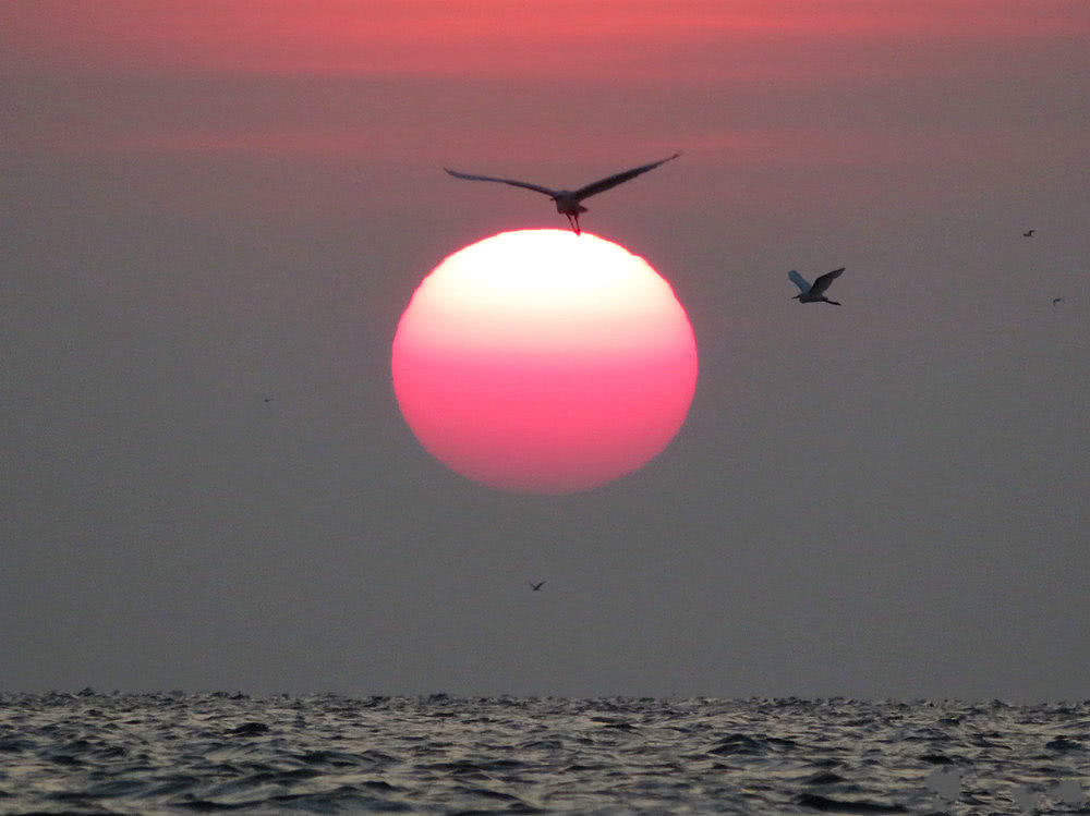 初升的红日很漂亮，配上海面的波浪，很唯美！