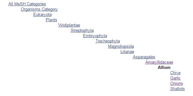 除了洋葱还有什么,除了洋葱还有什么可以除味
