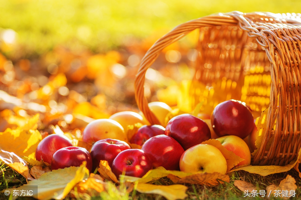 秋季必吃7大最佳养生蔬菜,十大营养蔬菜排名图片