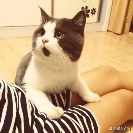 20岁女孩得了什么妇科病,20岁少女患多种妇科病