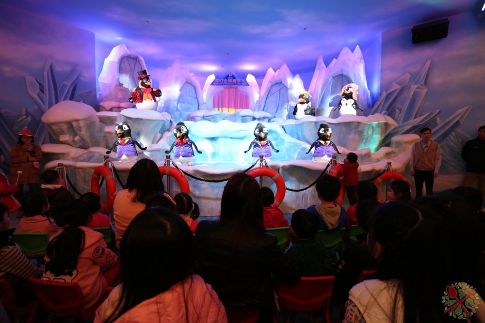 珠海长隆海洋王国企鹅三天两晚,珠海长隆海洋王国企鹅北极熊