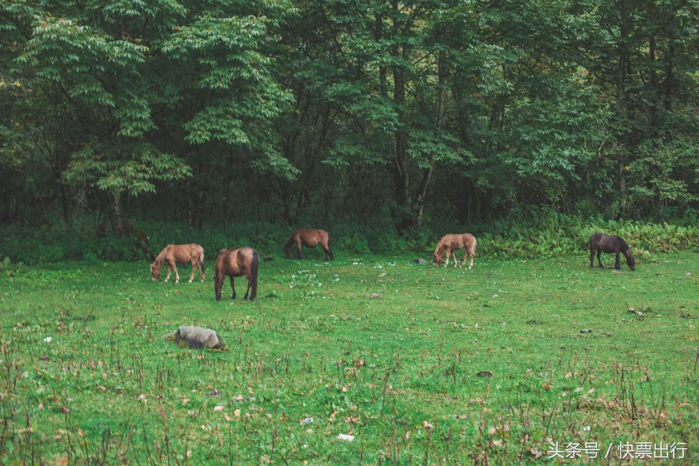 2020孟获城冶勒湖自驾攻略,孟获城冶勒湖自驾游攻略绵阳