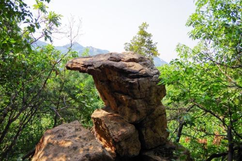有个村子叫马兰村,有个村子叫马兰