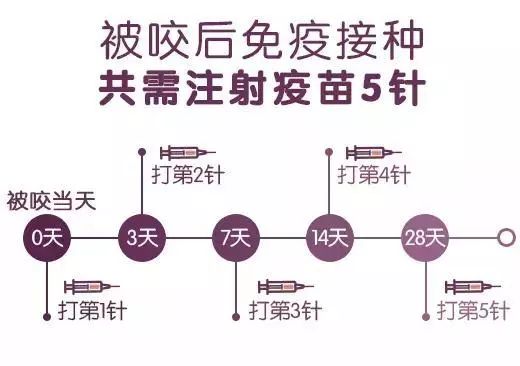 如果得了狂犬病一般会怎么发作,收养流浪狗不幸感染狂犬病怎么办