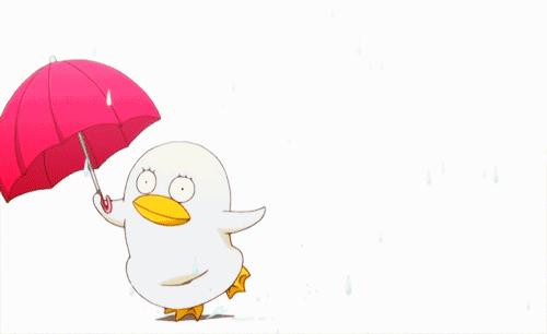 台风康妮云图,台风康妮影响广西吗